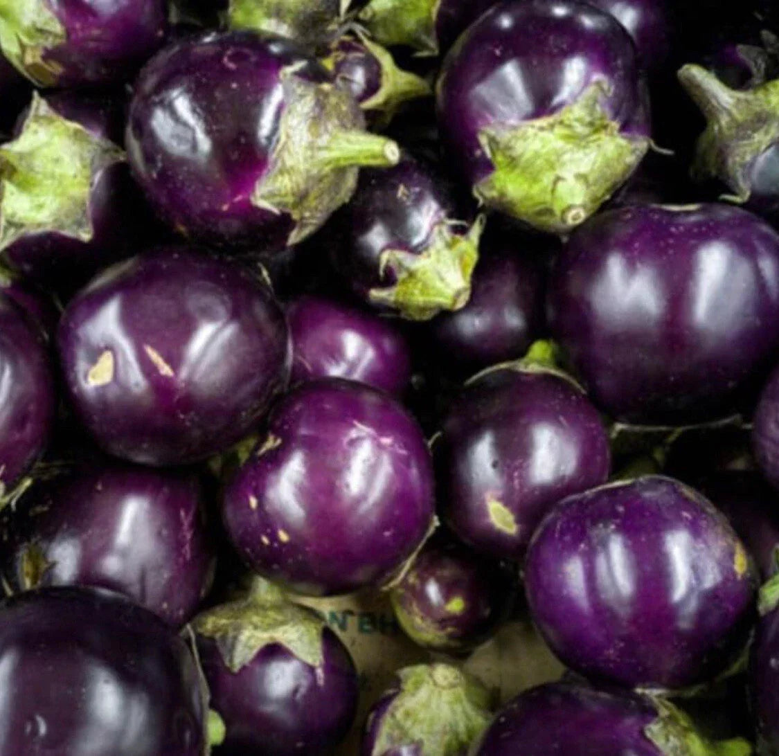 50+ Thai/Indian Round Purple Eggplant Seeds - Solanum melongena - Heirloom, Non-GMO, Full Sun, Backyard Garden, Container Planting