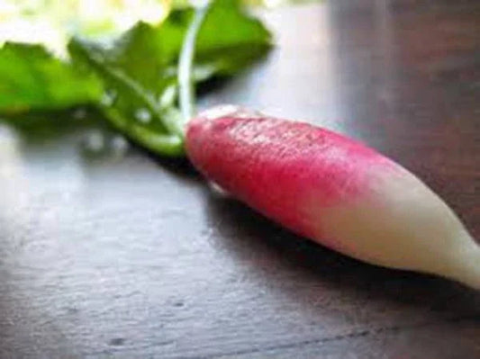 Heirloom Root Vegetable Seed Collection – Organic Carrot, Beet, Turnip, Radish, Parsnip Seeds for Home Gardening