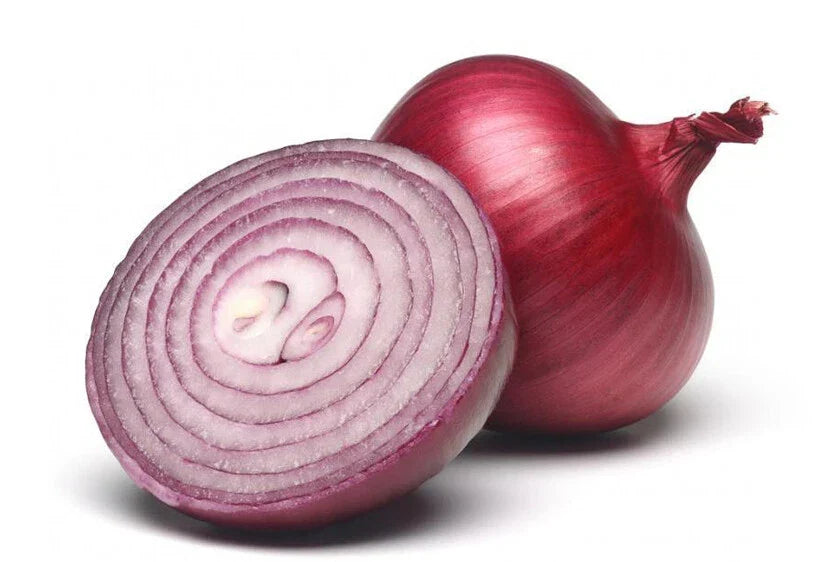 Red Burgundy Onion Seeds - 200+ Allium cepa Vegetable Seeds for Home Garden, Heirloom, Non-GMO, Deep Red Color