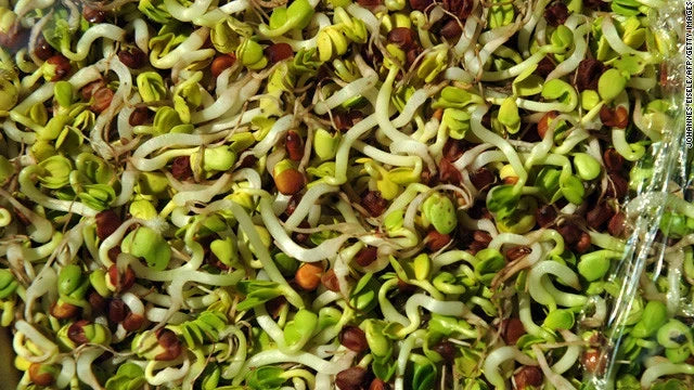 Bulk Sprouting Mix 2000g Health Blend - Nutrient-Rich Seeds for Sprouting - Alfalfa, Broccoli, Radish - Non-GMO