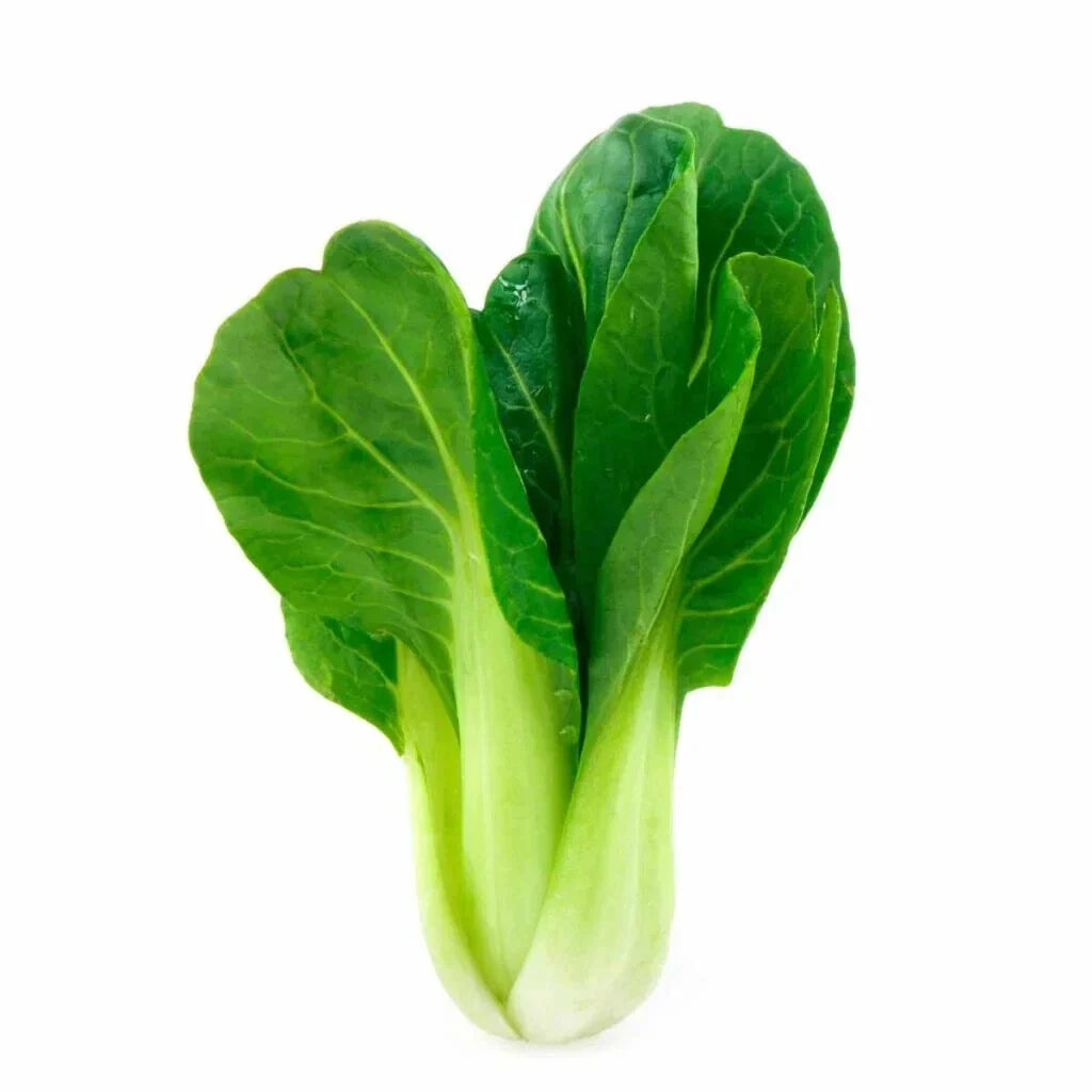 Bok Choy Seeds 500+ Brassica rapa Chinese Cabbage for Garden Planting, Non-GMO, Open-Pollinated, Cool-Season Vegetable Seeds