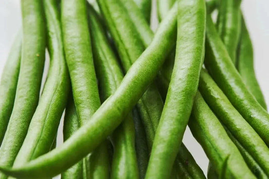Kentucky Wonder Pole Bean Seeds – Heirloom Phaseolus vulgaris Climbing Vine for Vertical Gardening, 20 Seeds