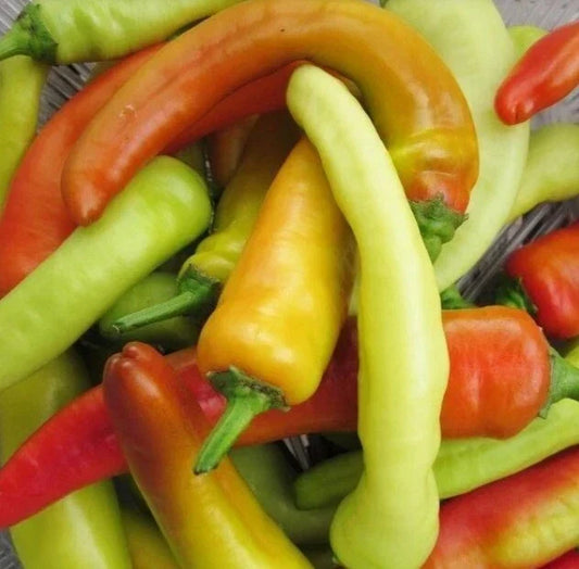 Hungarian Wax Hot Pepper Seeds - 200 Non-GMO Heirloom Capsicum annuum for Spicy Salsa, Pickling & Garden Growth