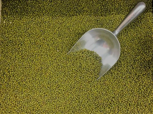 Mung Bean Seeds 250+ for Sprouting & Gardening, Edible Microgreens, Vigna radiata, Non-GMO, Indoor & Outdoor Plant Seeds