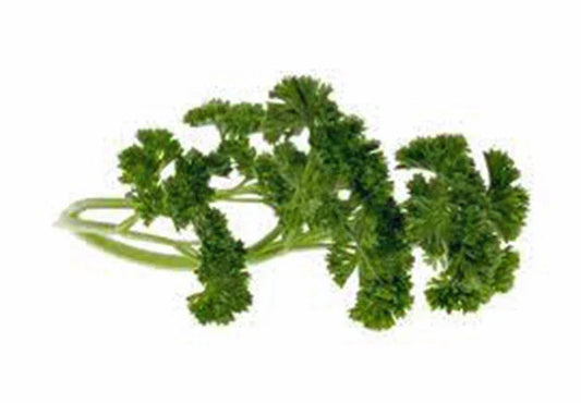 Moss Curled Parsley Seeds, Heirloom, Non-GMO, 25+ Seeds, Petroselinum crispum, Culinary Herb for Garden or Containers