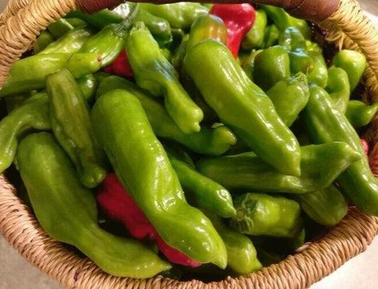 Italian Pepperoncini Seeds - 25 Premium Capsicum annuum for Home Garden, Mild Tangy Peppers for Salad and Pickling