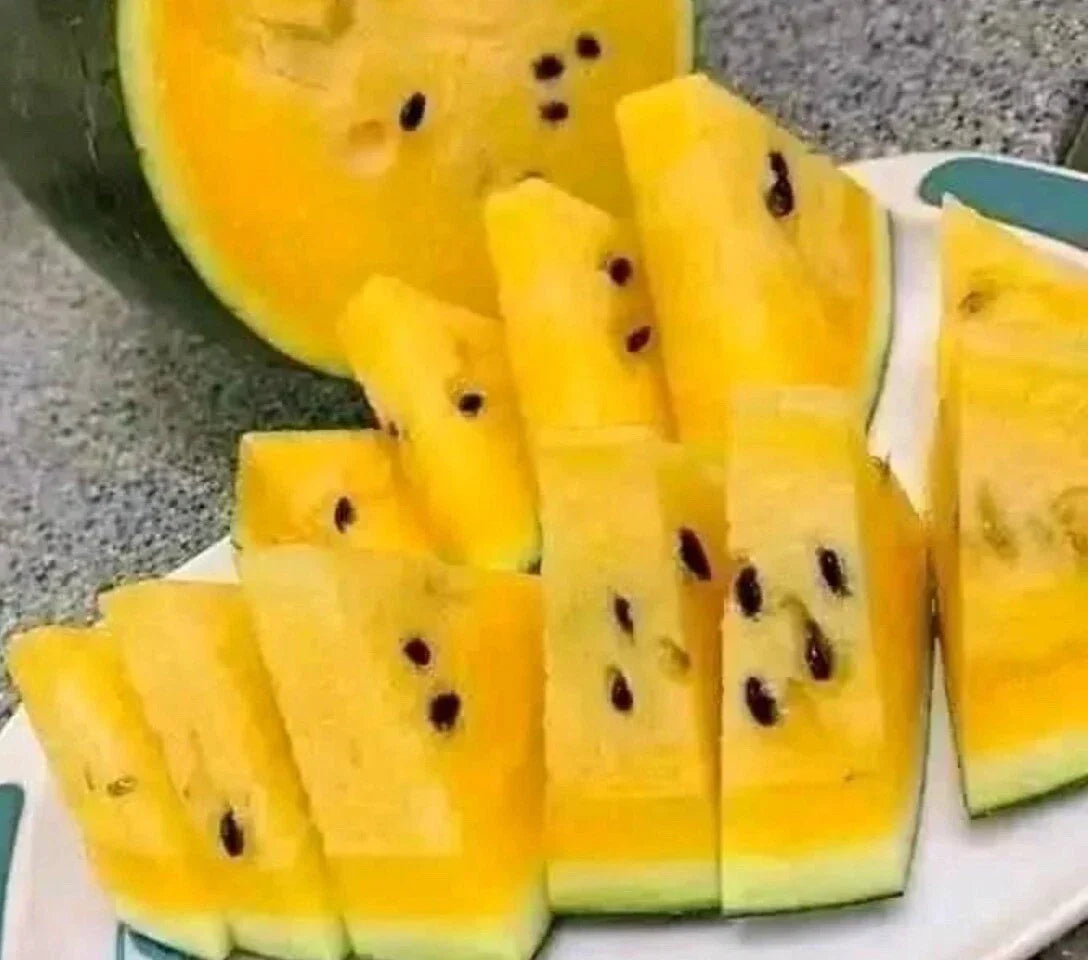 Yellow Watermelon Seeds Pack of 15+ Non-GMO Citrullus lanatus True to Color Rare Variety