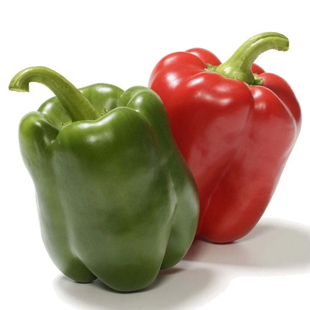 California Wonder Bell Pepper Seeds - Heirloom Non-GMO Capsicum annuum for Home Garden, 300 Seeds