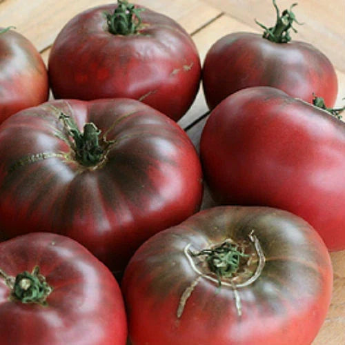 Cherokee Purple Tomato Seeds - Heirloom Non-GMO Solanum lycopersicum, Purple Tomato Seeds for Garden, Organic, High Yield, Disease-Resistant