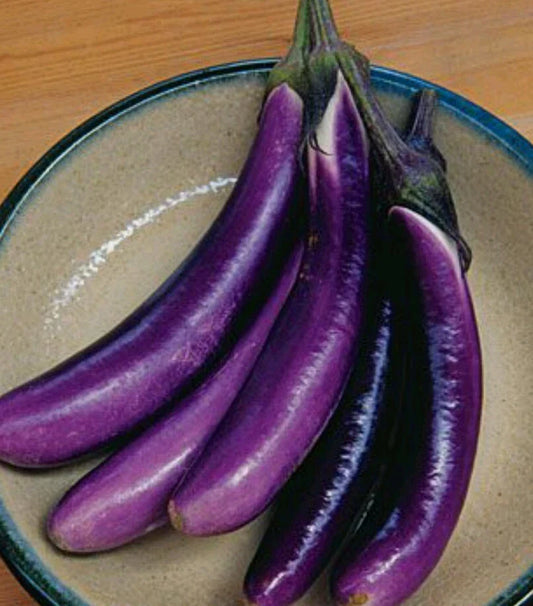 Long Purple Eggplant Seeds - 200 Non-GMO Open Pollinated Solanum melongena for Home Garden, Container, or Raised Bed Cultivation