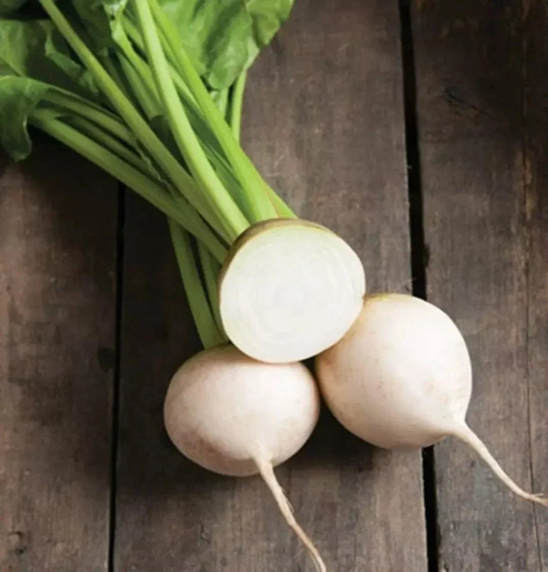 White Albino Beet Seeds - 1000+ Organic Non-GMO Heirloom Beta vulgaris for Gardening, Root Vegetable, Salad & Roasting