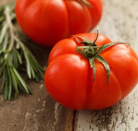 Heirloom Beefsteak Red Tomato Seeds - 25 Non-GMO Premium Solanum lycopersicum for Home Gardening & Container Growing