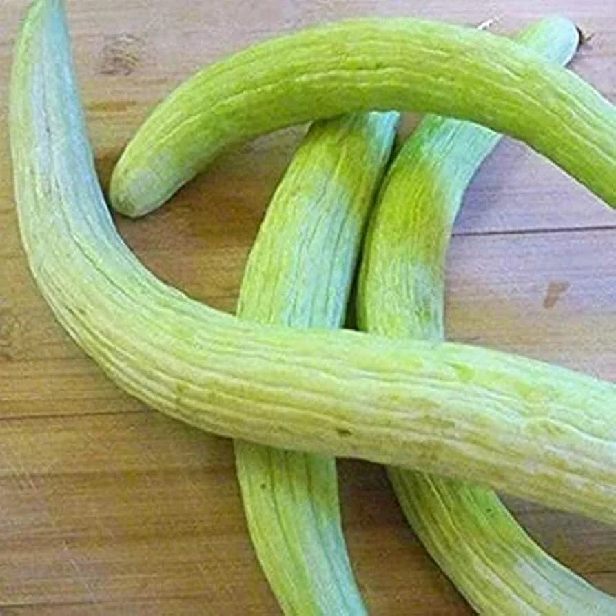Serpent Armenian Cucumber Seeds - 20 Pack - Organic Heirloom Cucumis melo - Unique Vining Vegetable for Home Garden