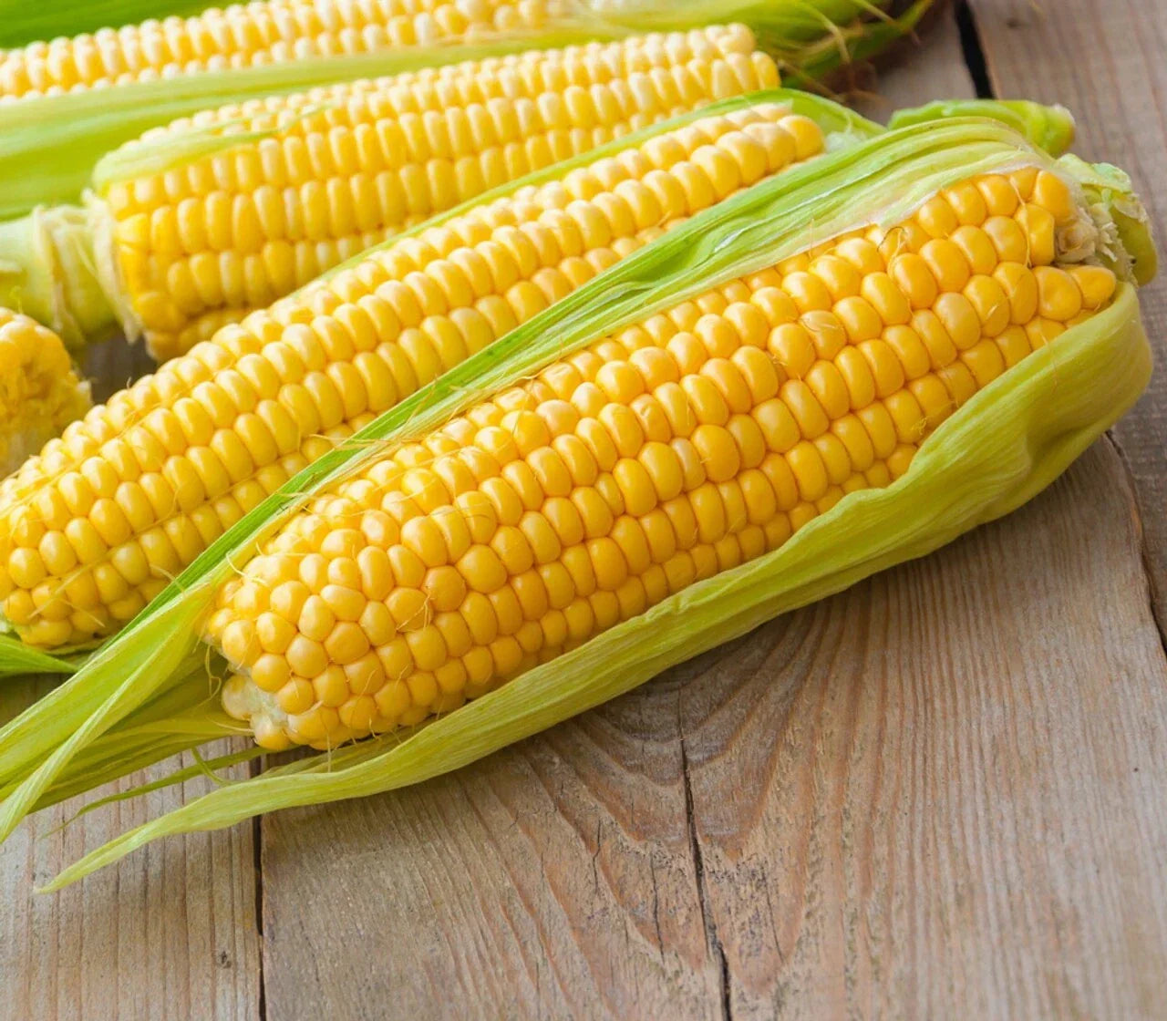Premium Kandy Korn Sweet Corn Seeds - Zea mays, Heirloom, Non-GMO, Pack of 50 for Home Garden, Juicy Ears, Easy to Grow