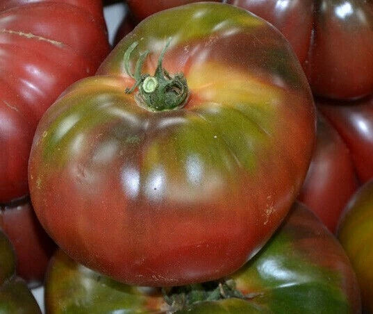 Black Krim Tomato Seeds – Indeterminate Heirloom Solanum lycopersicum for Home Garden, 50+ Seeds