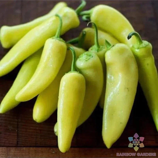 Hungarian Yellow Hot Wax Pepper Seeds - Pack of 25+ Capsicum annuum, Spicy Yellow Hot Peppers for Gardening, USA Grown