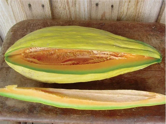 Heirloom Cantaloupe Seeds - Banana Melon, Sweet Musk, Cucumis melo, 20-100 Seeds, Unique Fruit for Garden and Farming