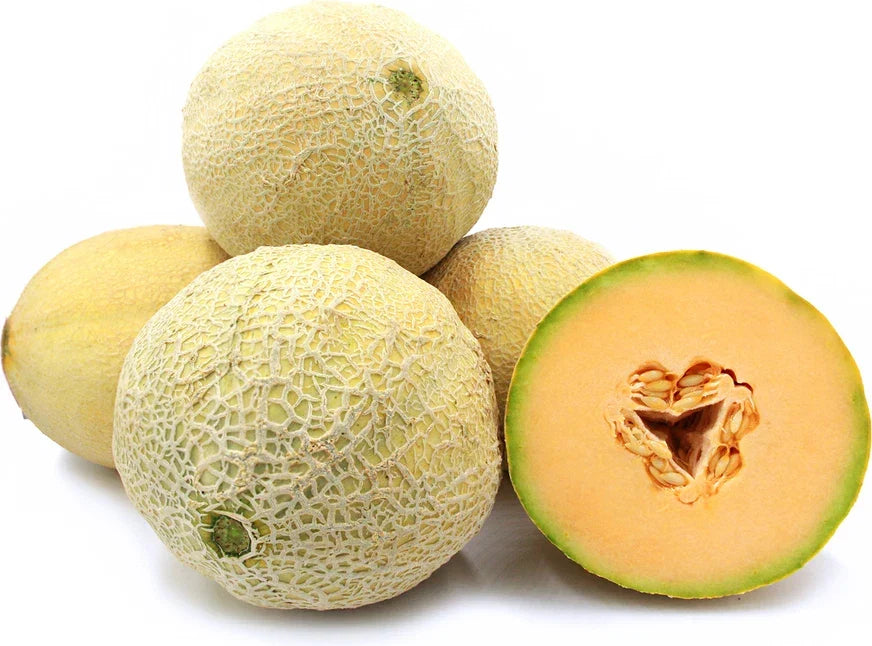 Goddess Cantaloupe Seeds - Non-GMO Cucumis melo Melon Seeds for Home Gardening, Juicy and Sweet Fruit, Packet of 20