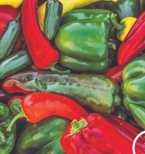 Sweet & Spicy Pepper Seeds Mix - 120+ Varieties - Non-GMO for Gardening - Capsicum spp.