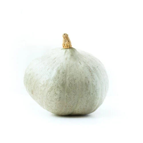 Blue Ballet Squash Seeds - Pack of 25+ Heirloom Cucurbita pepo Vegetable Seeds for Home Garden Planting
