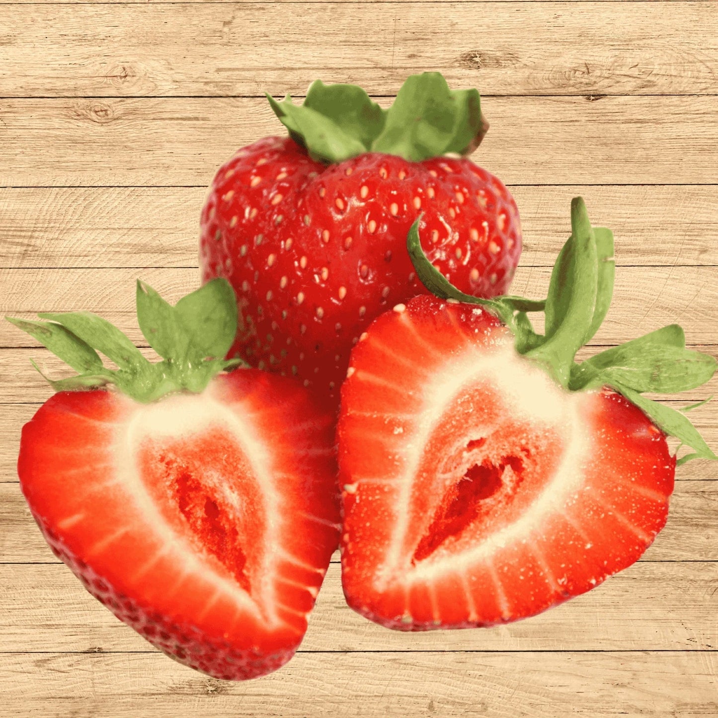 Albion Everbearing Strawberry Bare Root Plants – 25 Extra Large Sweet Fragaria × ananassa Perennial Berries