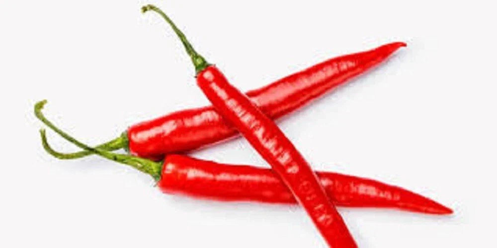 Cayenne Hot Pepper Seeds – Long Red Thin Capsicum annuum – Spicy 40,000 Scoville Units for Salsas & Sauces