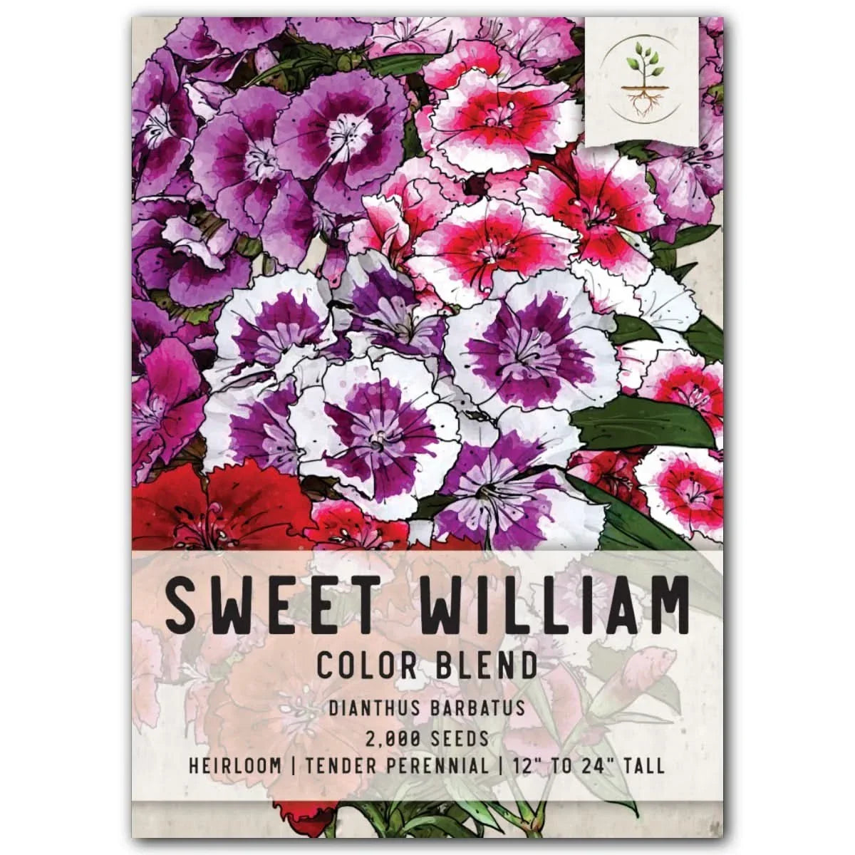 Sweet William Wildflower Seeds - Dianthus barbatus - Colorful Perennial Garden Flowers for Borders & Cut Flowers