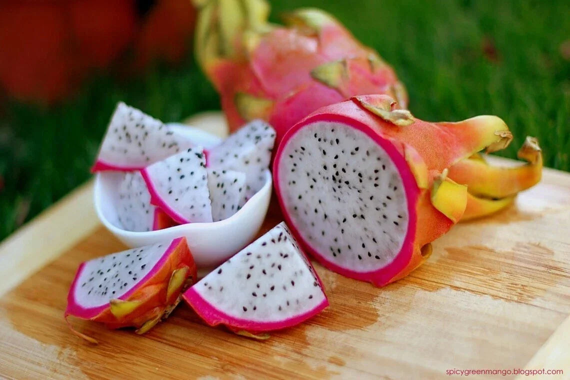 Dragon Fruit Seeds 50 Count Hylocereus Triangularis Exotic Tropical Fruit Easy to Grow Cactus Seeds