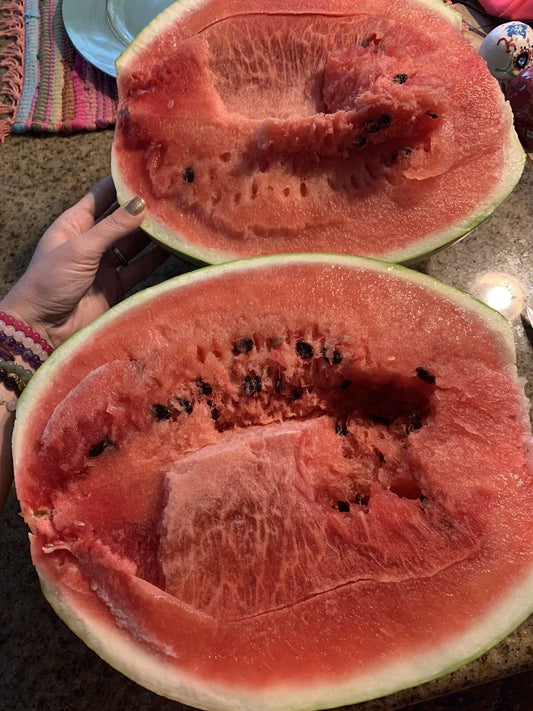 Organic Watermelon Seeds - Citrullus lanatus, Homegrown Edible Melon, Non-GMO, 15 Pack