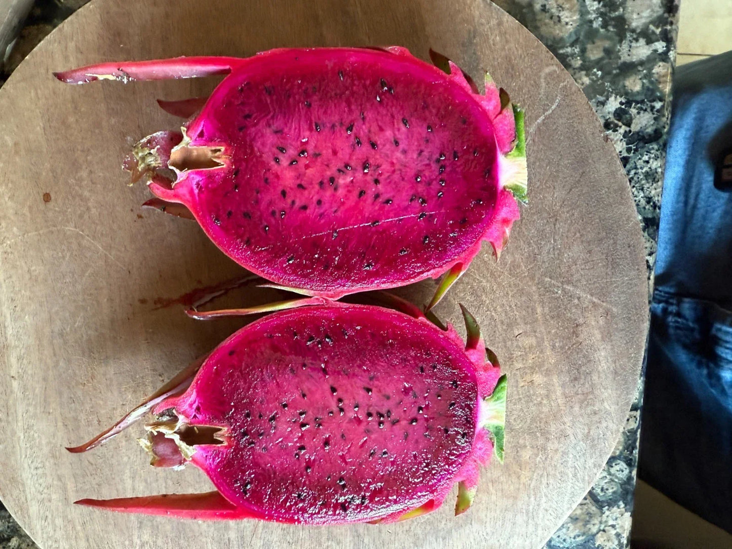 Australian Dragon Fruit Cutting 8-10" Red Flesh Hylocereus costaricensis Exotic Cactus Plant