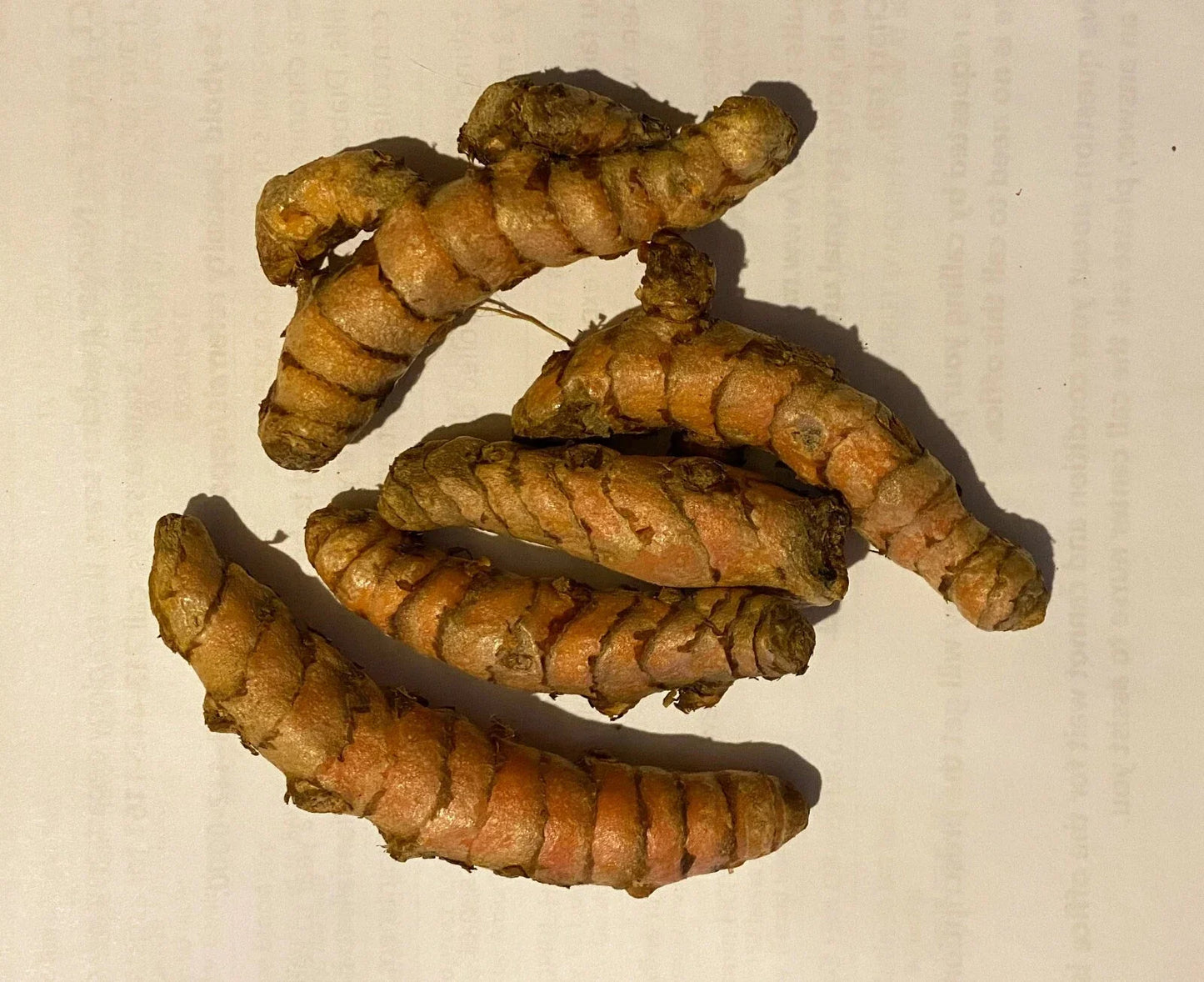 Fresh Turmeric Root 8 Pieces, Curcuma Longa, Anti-Inflammatory, Arthritis Pain Relief, Skin Sores, Organic, Culinary & Medicinal Herb
