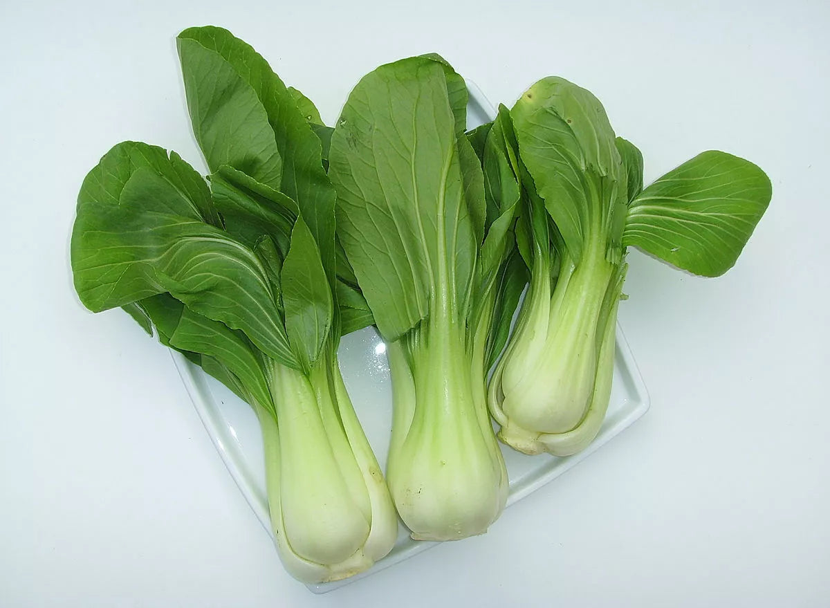 Bok Choy Seeds 1500 Pack Non-GMO Canton PAK CHOI Brassica rapa subsp. chinensis for Home Garden, Salad, Stir-Fry