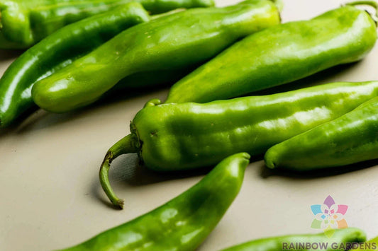 Hatch Chile Hot Pepper Seeds - 25+ Pack - USA Grown Capsicum annuum for Spicy Garden, Salsas & Culinary Use