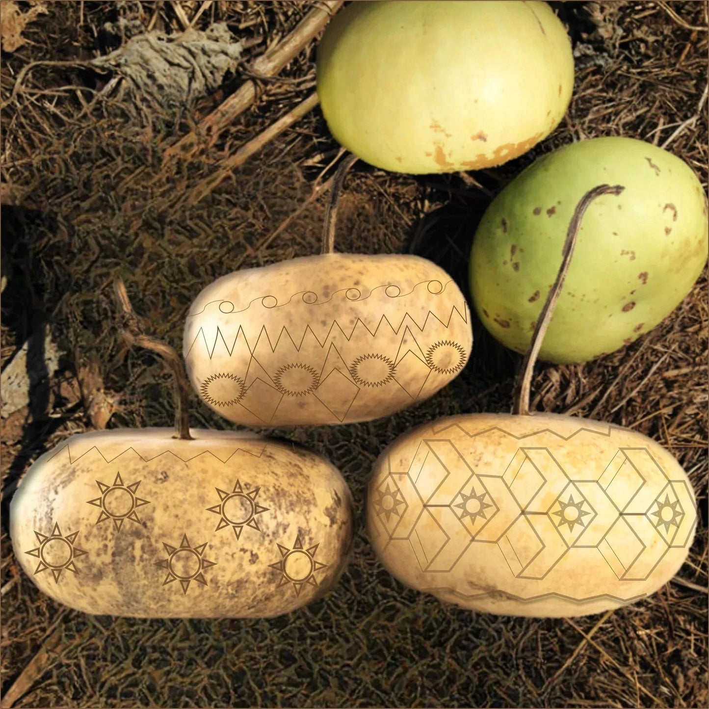 Corsican Gourd Seeds - Ornamental Gourds for Autumn Decor - Cucurbita pepo - 20 Seeds