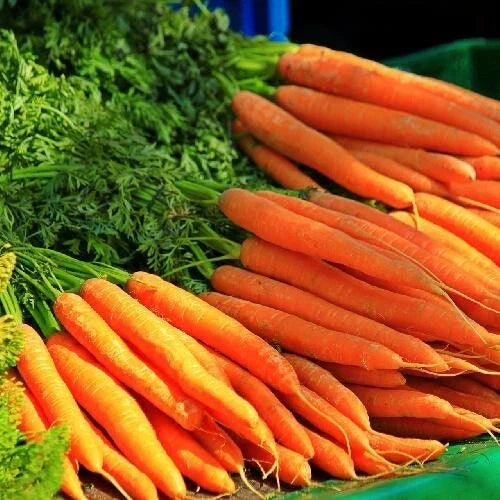 Tendersweet Carrot Seeds - 200+ Non-GMO Organic Heirloom Seed Packet for Home Gardening Daucus carota