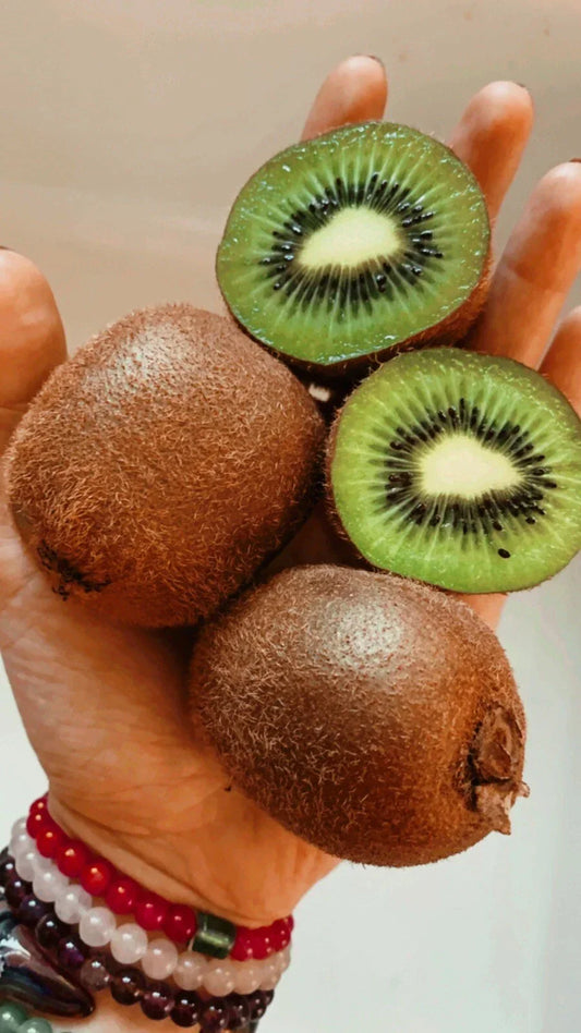 Organic Kiwi Seeds 50 Pack Actinidia deliciosa Fruit Vine for Home Garden, Edible Landscape, Non-GMO
