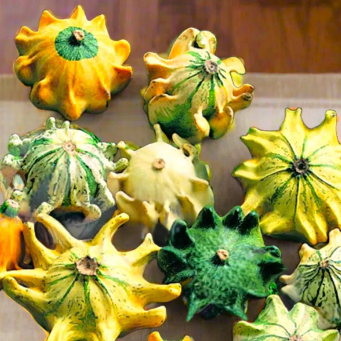 Crown of Thorns Gourd Seeds - 10 Pack - Unique Decorative Gourds for Garden - Cucurbita pepo - Non-GMO for 2025 Planting