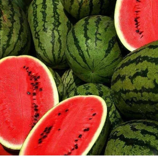 Jubilee Improved Watermelon Seeds - Heirloom Non-GMO Citrullus lanatus - Pack of 25+ for Home Garden, Sweet, Juicy, Vining Fruit