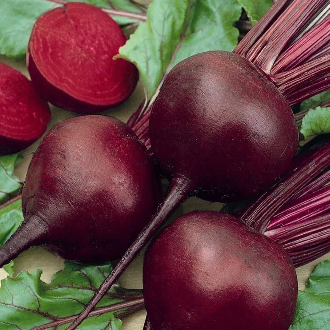 Detroit Dark Red Beet Seeds - Organic Non-GMO Heirloom Beta vulgaris for Home Garden, Salad, and Cooking, 50+ Seeds