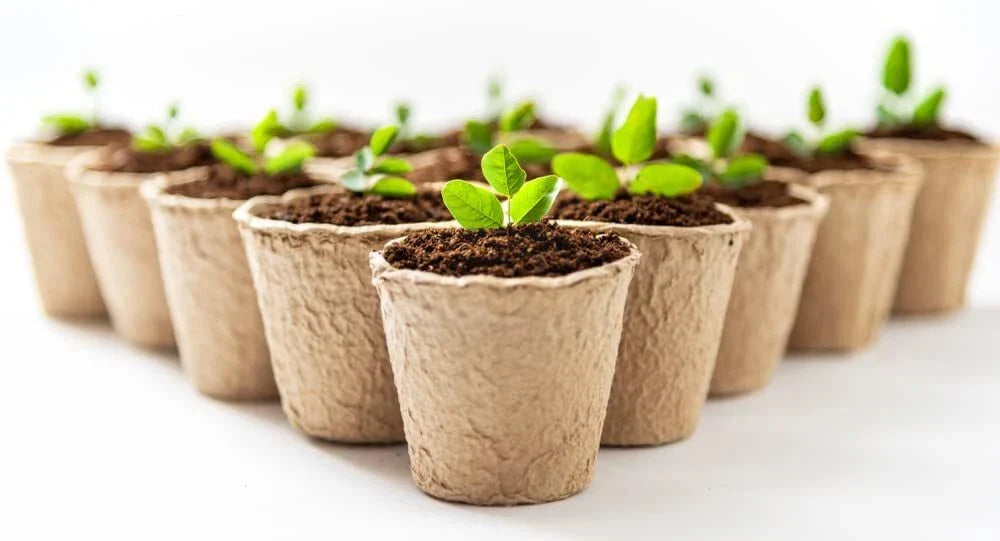 3 Inch Starter Pots 50 Pack Biodegradable Containers for Herbs Trees Vegetables Eco-Friendly Planting Solutions