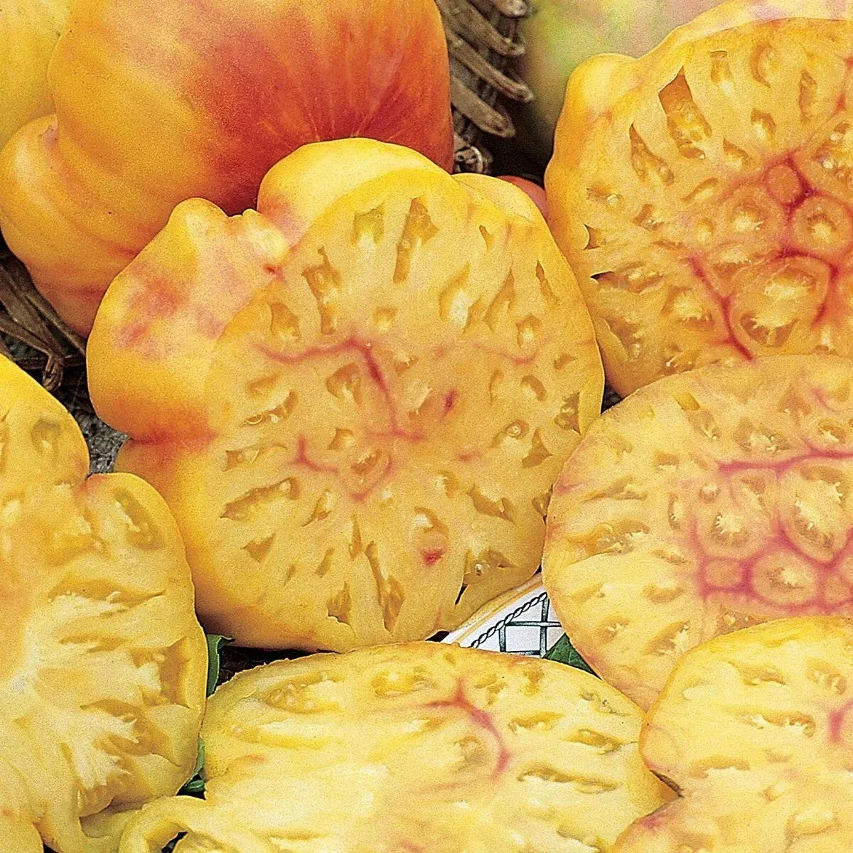 Pineapple Tomato Seeds - Heirloom Organic Non-GMO Solanum lycopersicum - 120+ Yellow-Orange Fruity Tomato Seeds