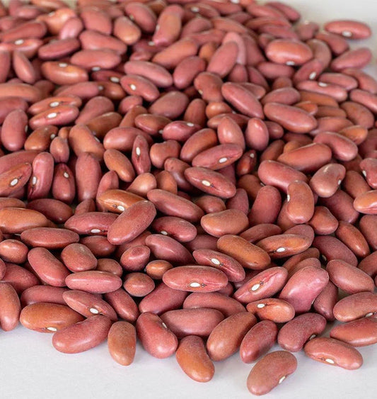 Light Red Kidney Bean Seeds - Organic, Non-GMO, Phaseolus vulgaris, Bush-Type, Full Sun, Pack of 100 Seeds