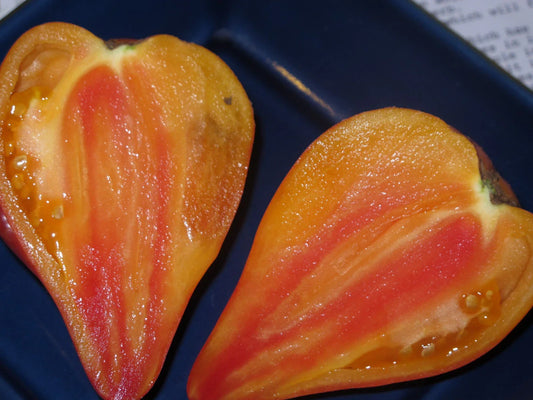 Orange Oxheart Tomato Seeds - Heirloom Organic Solanum lycopersicum, Rare Variety, Large Heart-Shaped Fruits, Non-GMO, Full Sun