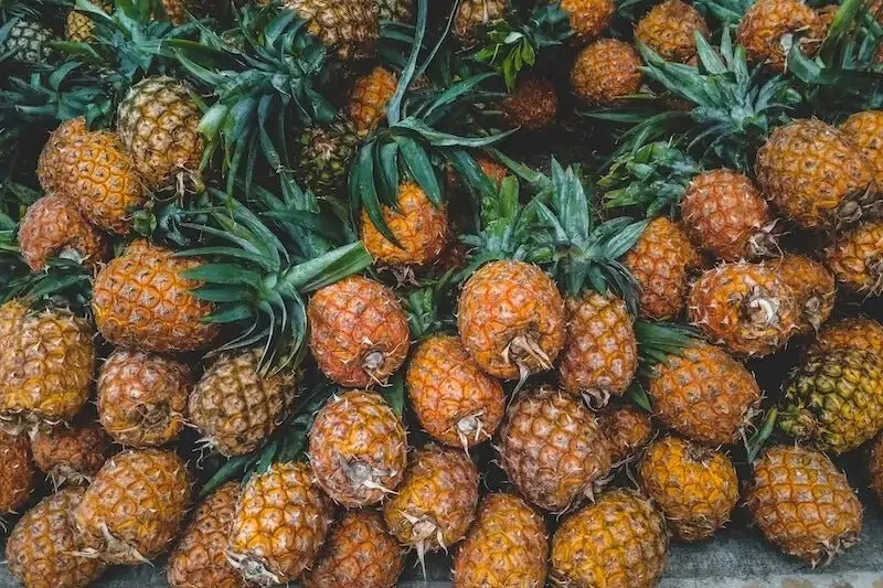 Brecheche Pineapple Seeds - 15+ Count - Ananas bracteatus - Non-GMO Garden Planting Seeds - Tropical Fruit Gardening