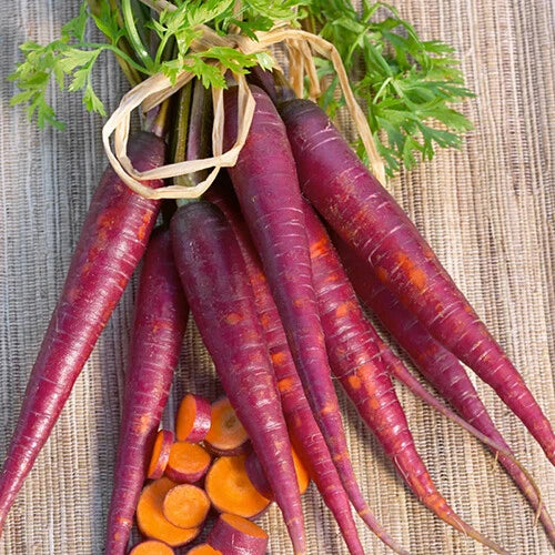 Cosmic Purple Carrot Seeds | Heirloom Non-GMO Organic Vegetable Seeds | Daucus carota | Vibrant Purple Color, Sweet Flavor, 100 Seeds