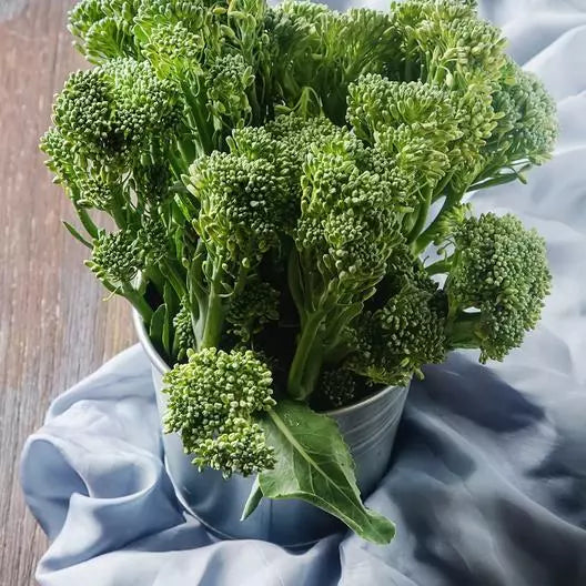 Non-GMO Broccoli Seeds Waltham 29 Heirloom Organic Gardening Brassica oleracea