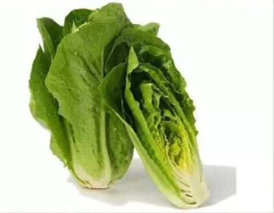 Parris Island Romaine Lettuce Seeds - 100 Heirloom Non-GMO Vegetable Seeds for Salad, Wraps, and Garnishes - Lactuca sativa