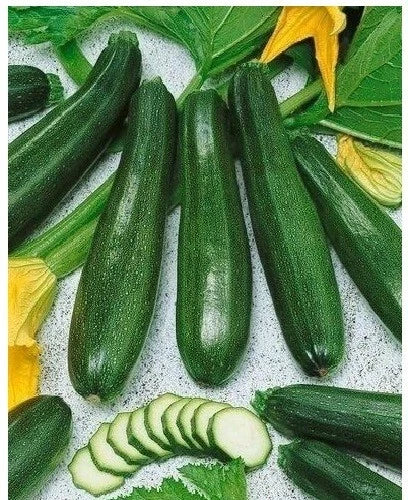 Black Beauty Zucchini Seeds - Heirloom Cucurbita pepo, Prolific Green Summer Squash, Spineless, 20 Seeds