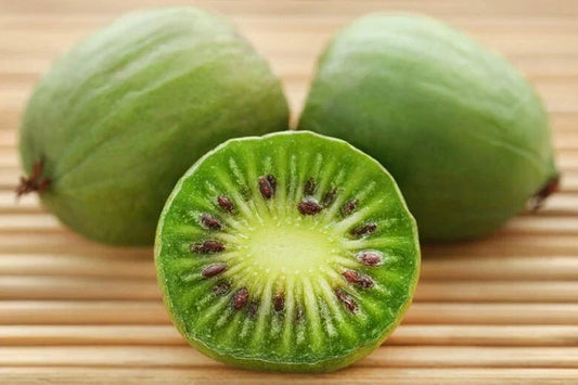 Kiwi Plant Starter - Live Rooted Issai - Self-Pollinating Hardy Actinidia arguta for Zones 3-8