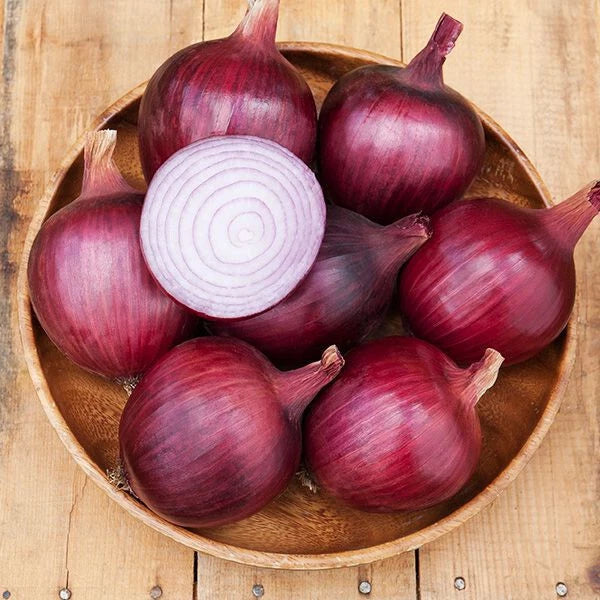 Redwing Onion Seeds - 500+ Count, Heirloom Allium cepa, Vegetable Seeds for Garden, Non-GMO, USA Grown